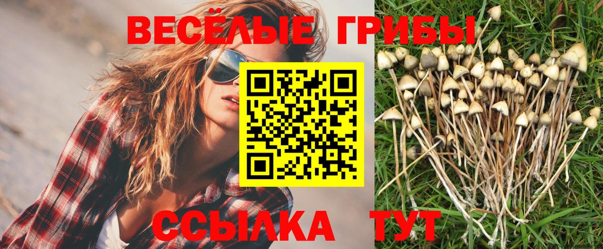 дарнет шоп  Галлюциногенные грибы GOLDEN TEACHER  Галлюциногенные грибы MAGIC MUSHROOMS  Вход с VPN  Кемерово 